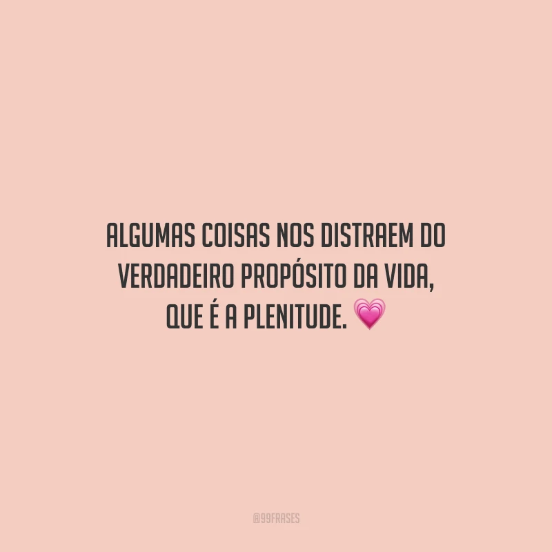 Algumas coisas nos distraem do verdadeiro propósito da vida, que é a plenitude.