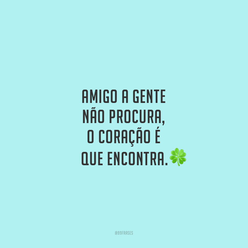 Amigo a gente não procura, o coração é que encontra.