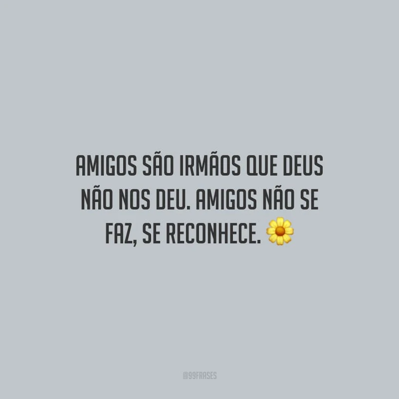 Amigos são irmãos que Deus não nos deu. Amigos não se faz, se reconhece.