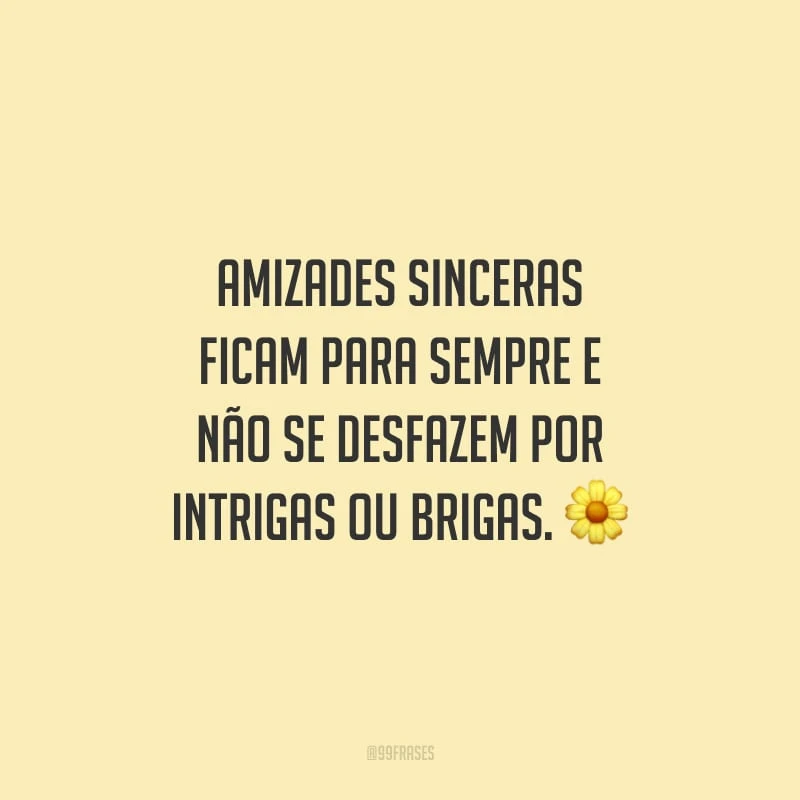Amizades sinceras ficam para sempre e não se desfazem por intrigas ou brigas.