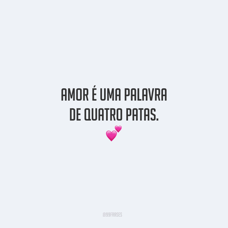 Amor é uma palavra de quatro patas.