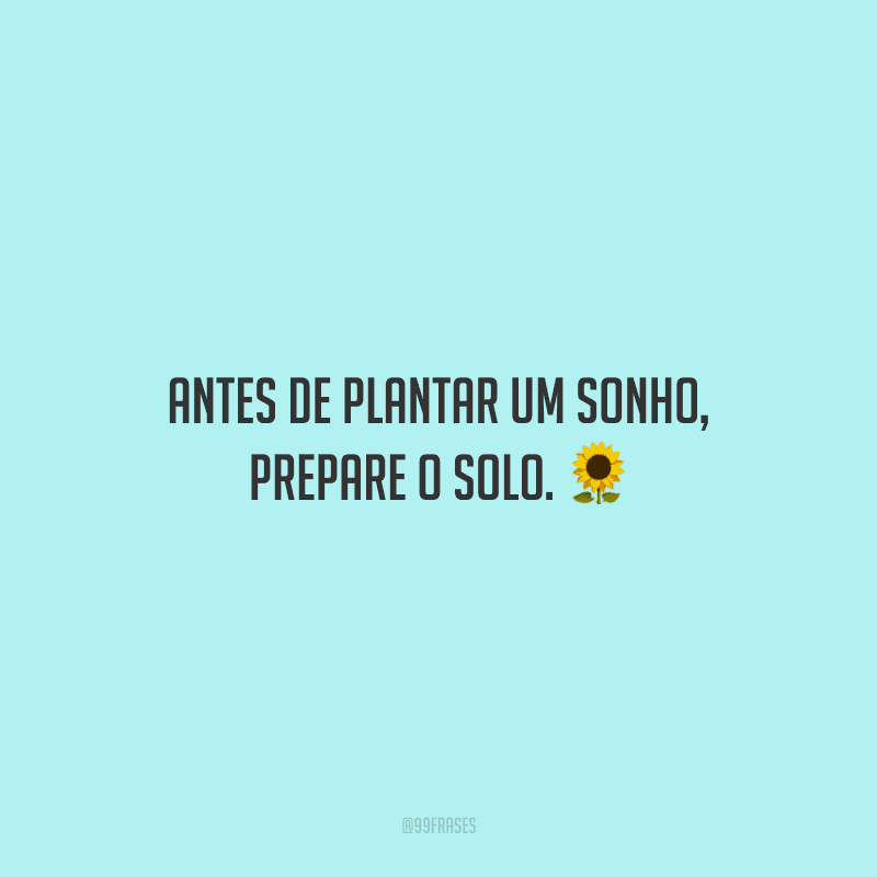 Antes de plantar um sonho, prepare o solo.