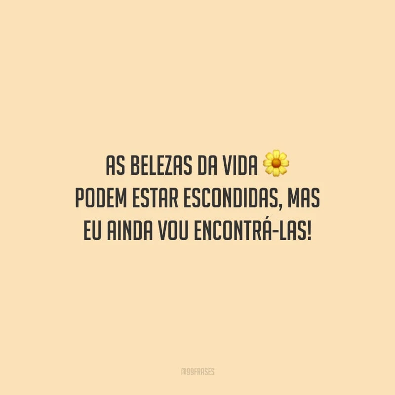 As belezas da vida podem estar escondidas, mas eu ainda vou encontrá-las!