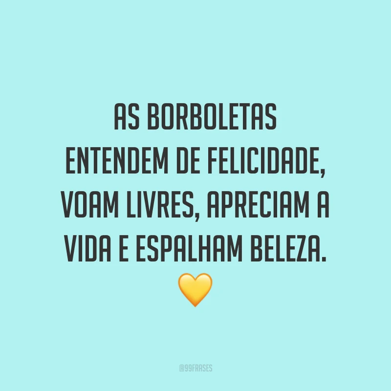 As borboletas entendem de felicidade, voam livres, apreciam a vida e espalham beleza. 💛