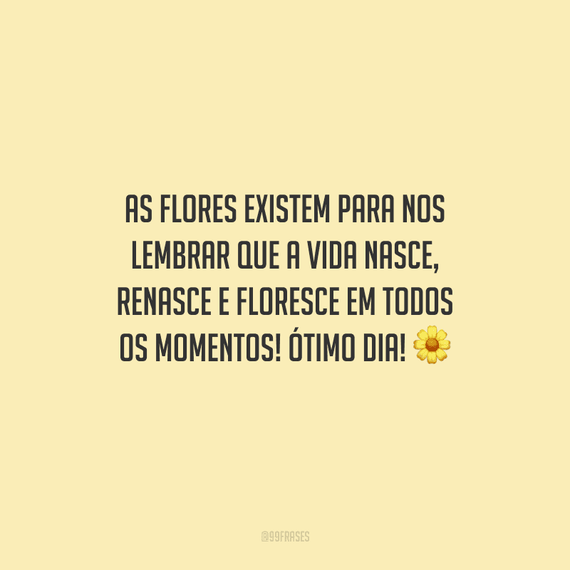 As flores existem para nos lembrar que a vida nasce, renasce e floresce em todos os momentos! Ótimo dia! 