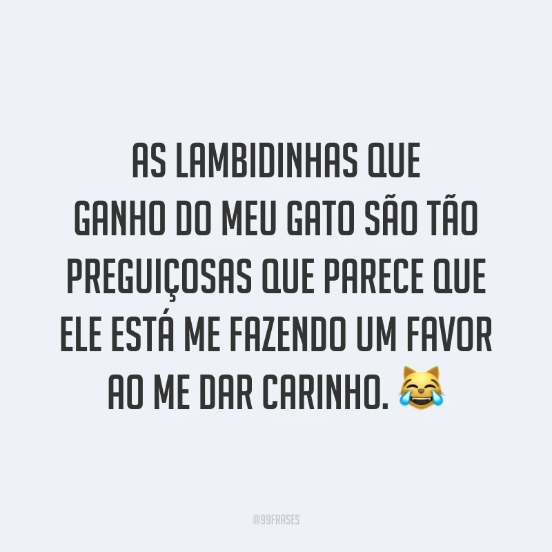 As lambidinhas que ganho do meu gato são tão preguiçosas que parece que ele está me fazendo um favor ao me dar carinho. 😹