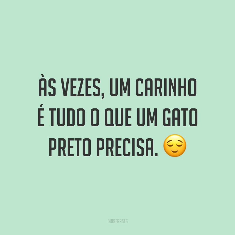 Às vezes, um carinho é tudo o que um gato preto precisa. 😌