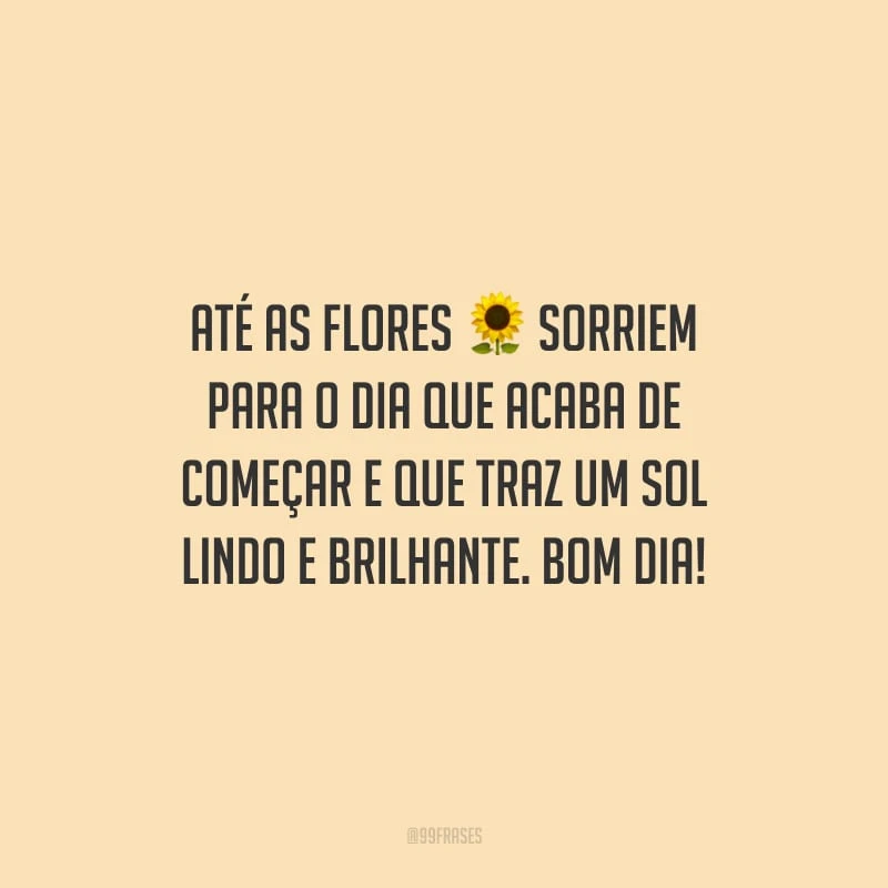Até as flores sorriem para o dia que acaba de começar e que traz um sol lindo e brilhante. Bom dia!