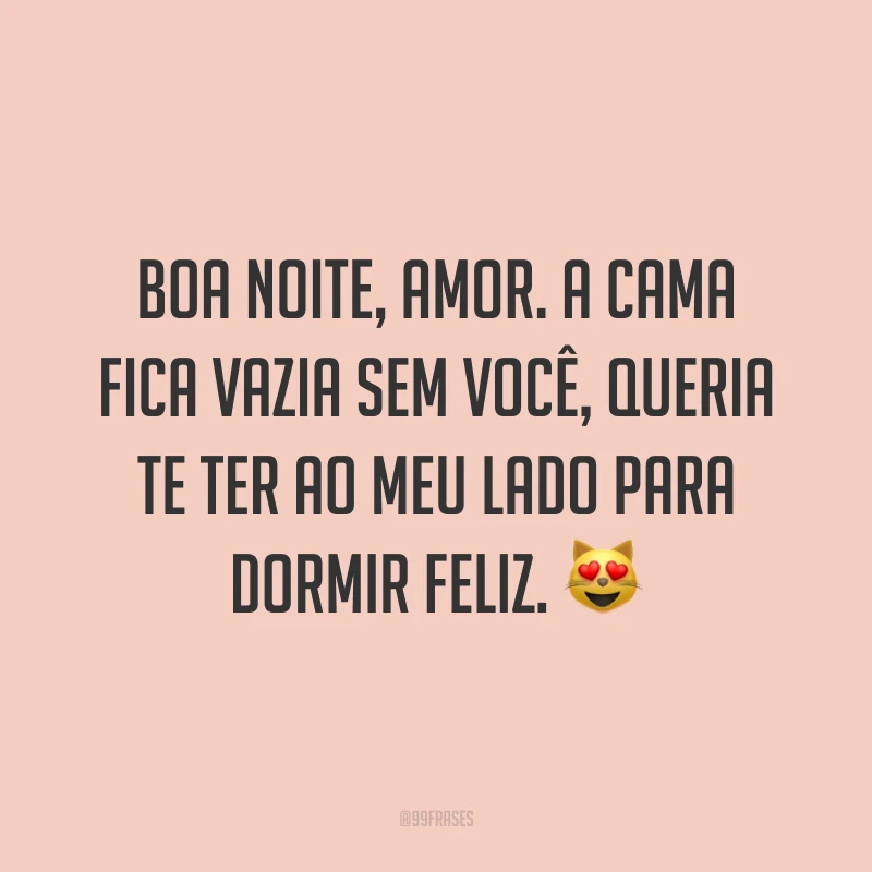 Boa noite, amor. A cama fica vazia sem você, queria te ter ao meu lado para dormir feliz. 😻