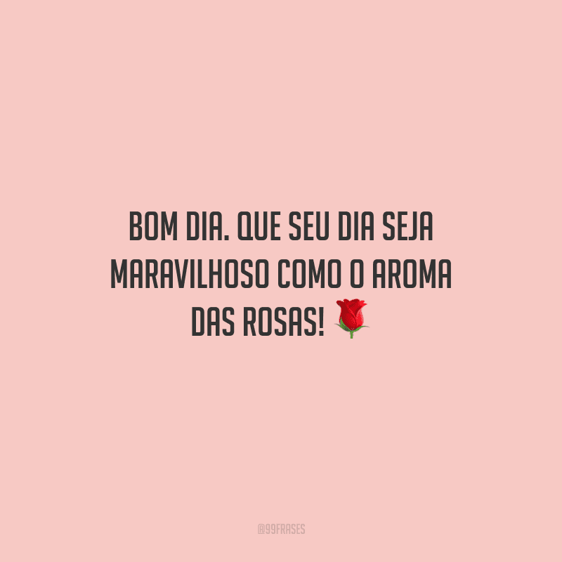 Bom dia. Que seu dia seja maravilhoso como o aroma das rosas! 