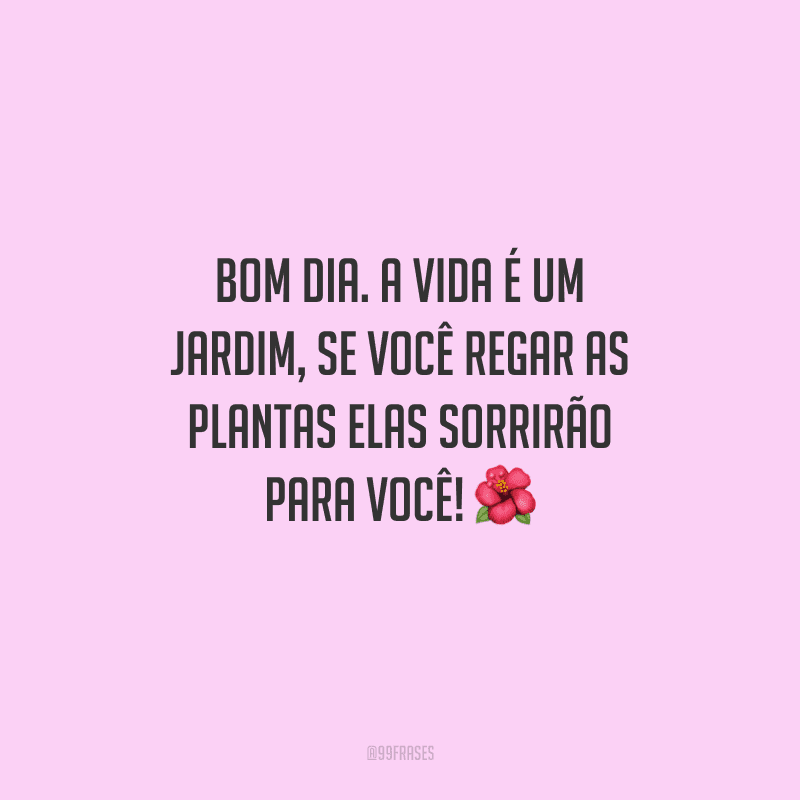 Bom dia. A vida é um jardim, se você regar as plantas elas sorrirão para você!