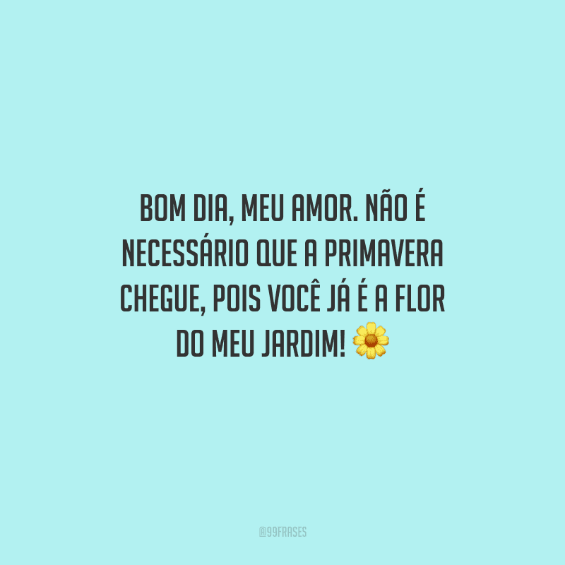 Bom dia, meu amor. Não é necessário que a primavera chegue, pois você já é a flor do meu jardim! 