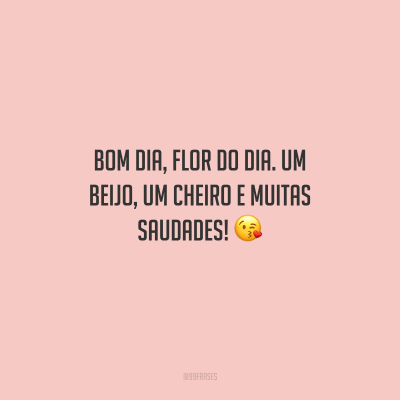 Bom dia, flor do dia. Um beijo, um cheiro e muitas saudades! 