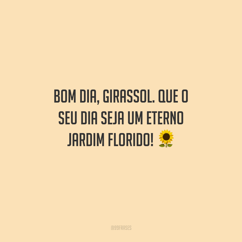 Bom dia, girassol. Que o seu dia seja um eterno jardim florido! 