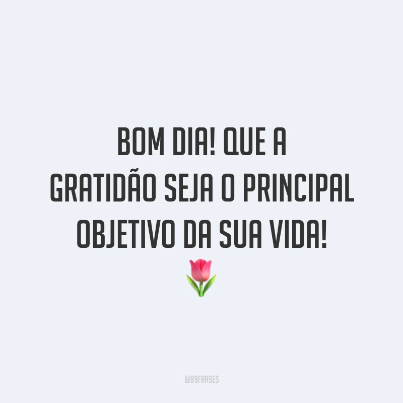 Bom dia! Que a gratidão seja o principal objetivo da sua vida! 🌷
