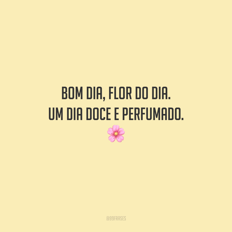 Bom dia, flor do dia. Um dia doce e perfumado. 