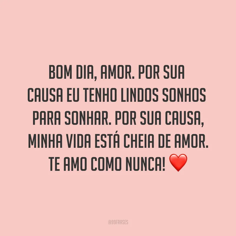 Bom dia, amor. Por sua causa eu tenho lindos sonhos para sonhar. Por sua causa, minha vida está cheia de amor. Te amo como nunca! ❤