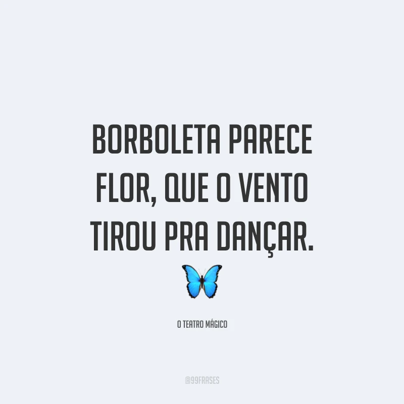 Borboleta parece flor, que o vento tirou pra dançar. 🦋