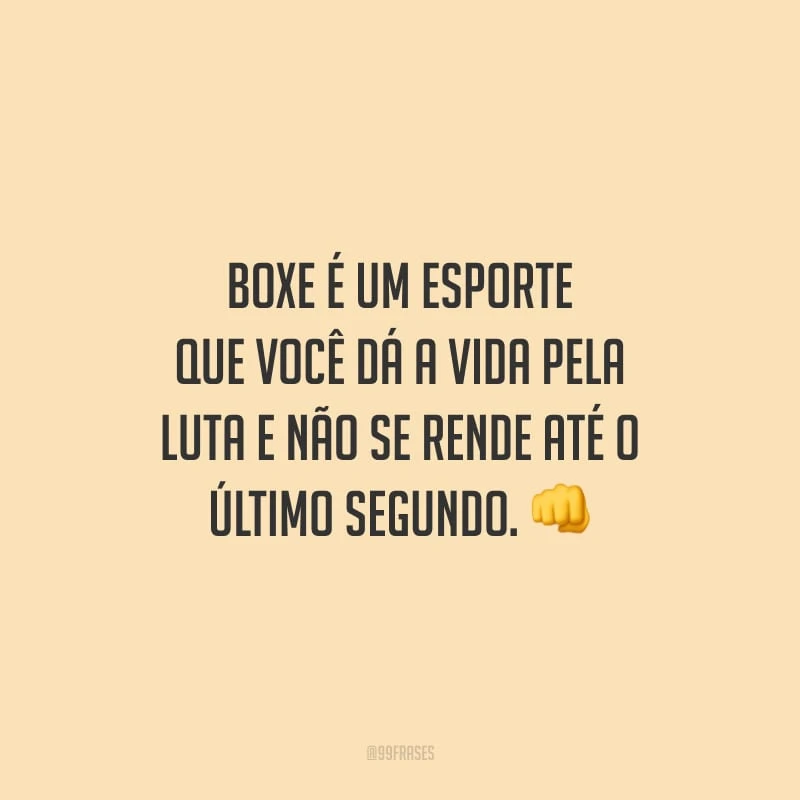 Boxe é um esporte que você dá a vida pela luta e não se rende até o último segundo.