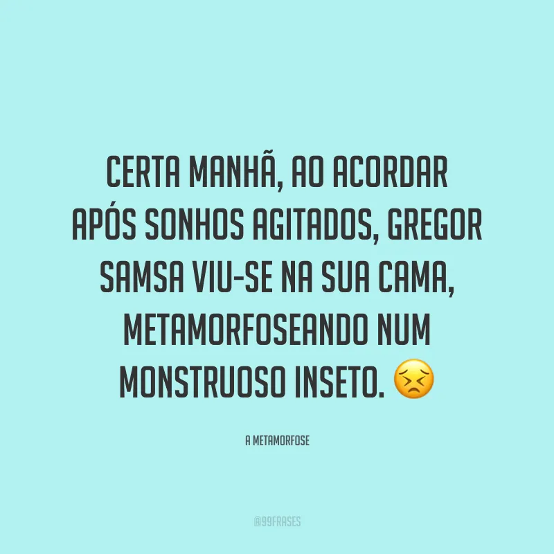 Certa manhã, ao acordar após sonhos agitados, Gregor Samsa viu-se na sua cama, metamorfoseando num monstruoso inseto.