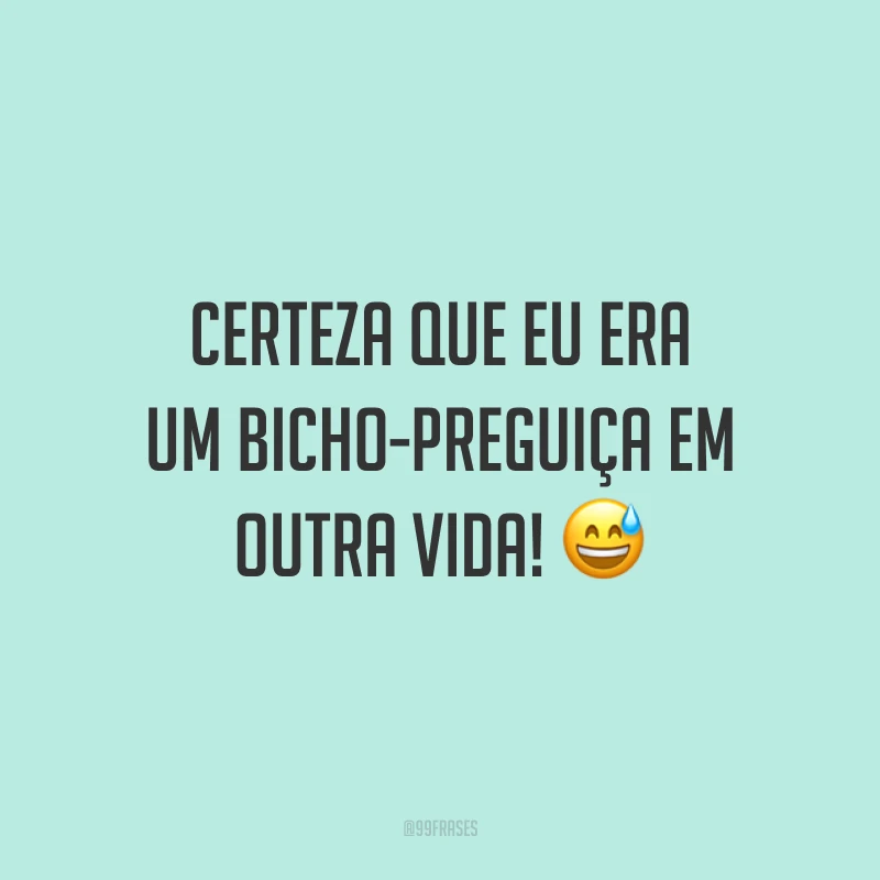 Certeza que eu era um bicho-preguiça em outra vida! 😅