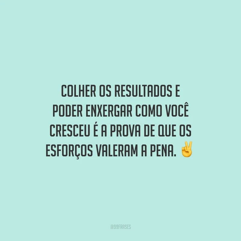 Colher os resultados e poder enxergar como você cresceu é a prova de que os esforços valeram a pena.