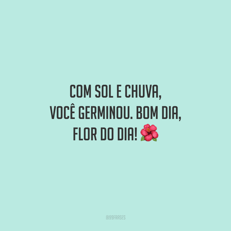 Com sol e chuva, você germinou. Bom dia, flor do dia! 