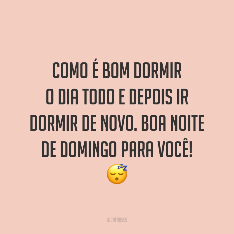 Como é bom dormir o dia todo e depois ir dormir de novo. Boa noite de domingo para você! 😴