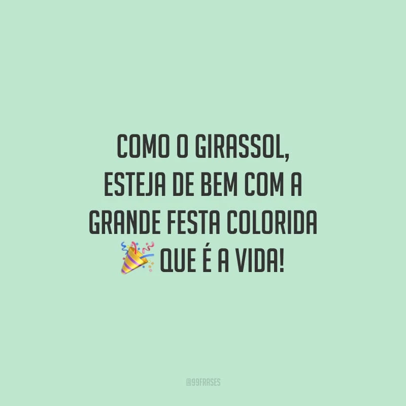 Como o girassol, esteja de bem com a grande festa colorida que é a vida!