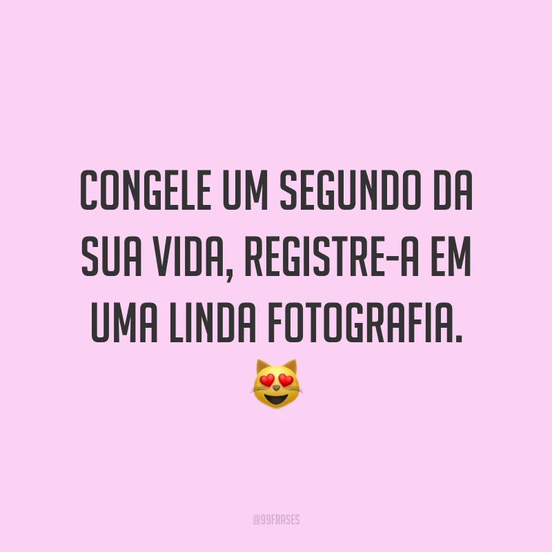Congele um segundo da sua vida, registre-a em uma linda fotografia. 😻