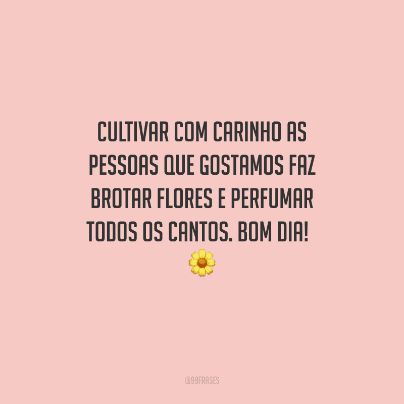 Cultivar com carinho as pessoas que gostamos faz brotar flores e perfumar todos os cantos. Bom dia! 
