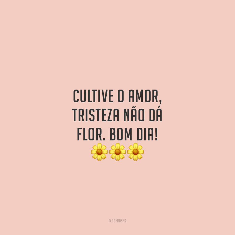 Cultive o amor, tristeza não dá flor. Bom dia!