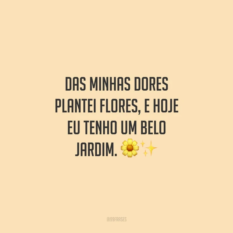 Das minhas dores plantei flores, e hoje eu tenho um belo jardim.