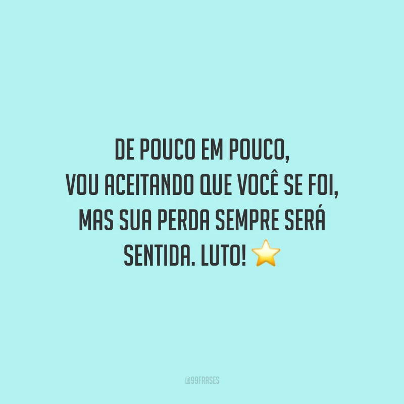 De pouco em pouco, vou aceitando que você se foi, mas sua perda sempre será sentida. Luto!