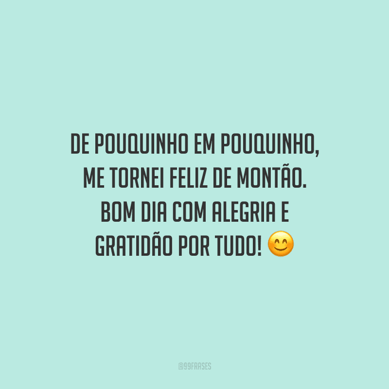 De pouquinho em pouquinho, me tornei feliz de montão. Bom dia com alegria e gratidão por tudo!