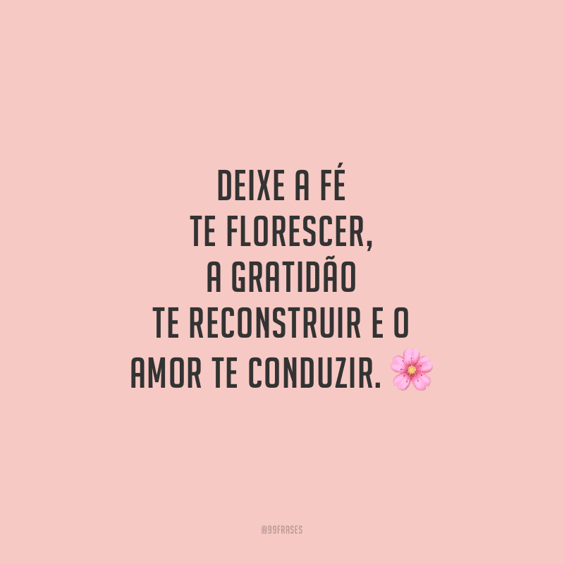 Deixe a fé te florescer, a gratidão te reconstruir e o amor te conduzir.