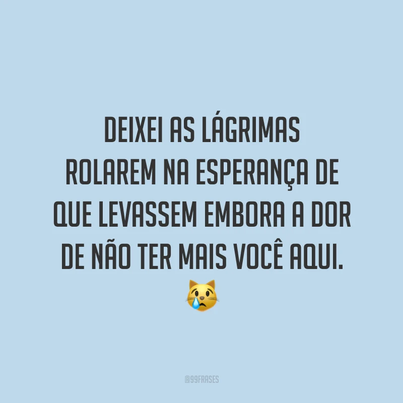 Deixei as lágrimas rolarem na esperança de que levassem embora a dor de não ter mais você aqui. ?