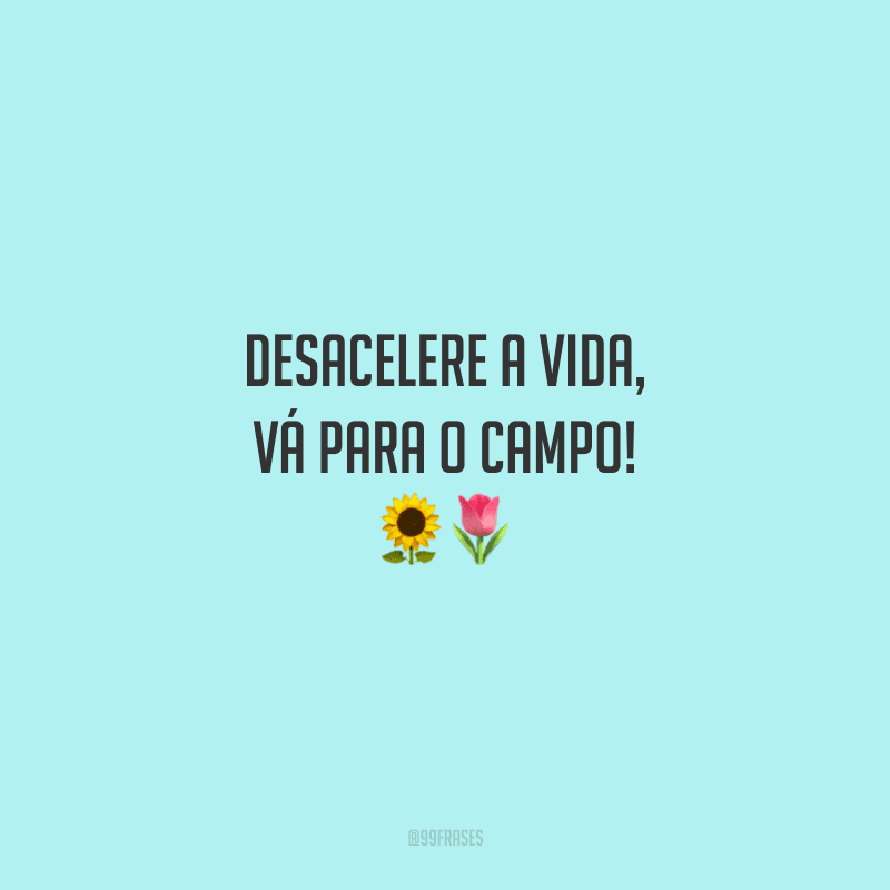 Desacelere a vida, vá para o campo!