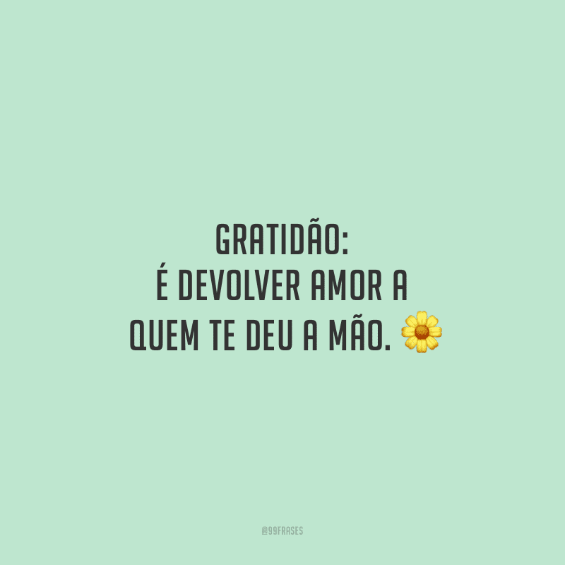 Gratidão: é devolver amor a quem te deu a mão.