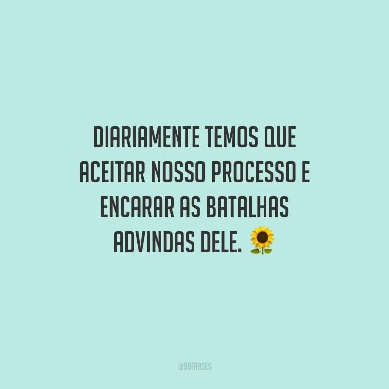 Diariamente temos que aceitar nosso processo e encarar as batalhas advindas dele.