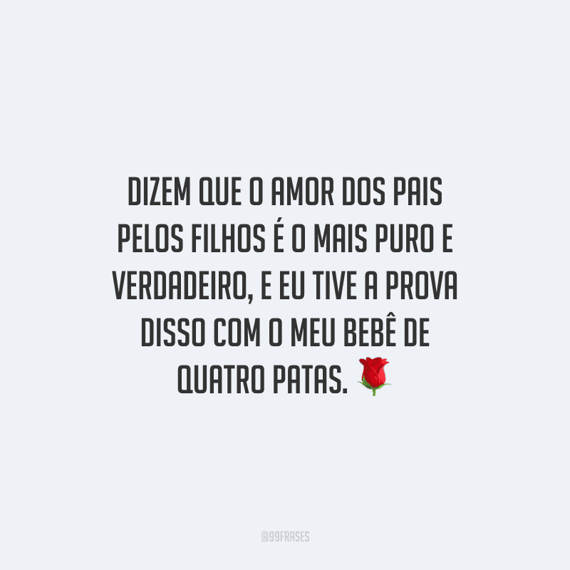 Dizem que o amor dos pais pelos filhos é o mais puro e verdadeiro, e eu tive a prova disso com o meu bebê de quatro patas.
