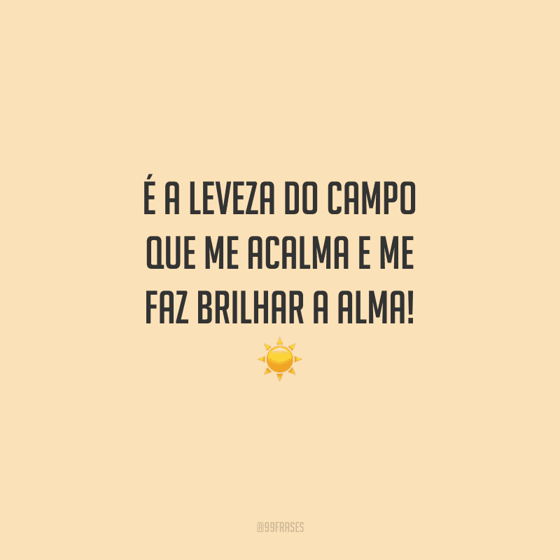 É a leveza do campo que me acalma e me faz brilhar a alma!