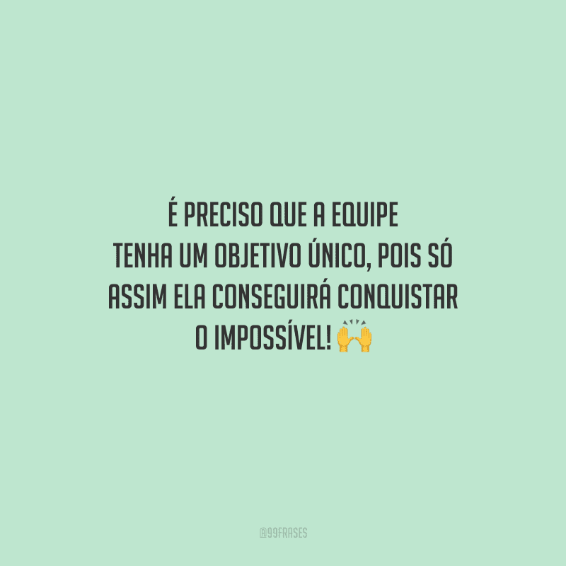 É preciso que a equipe tenha um objetivo único, pois só assim ela conseguirá conquistar o impossível! 
