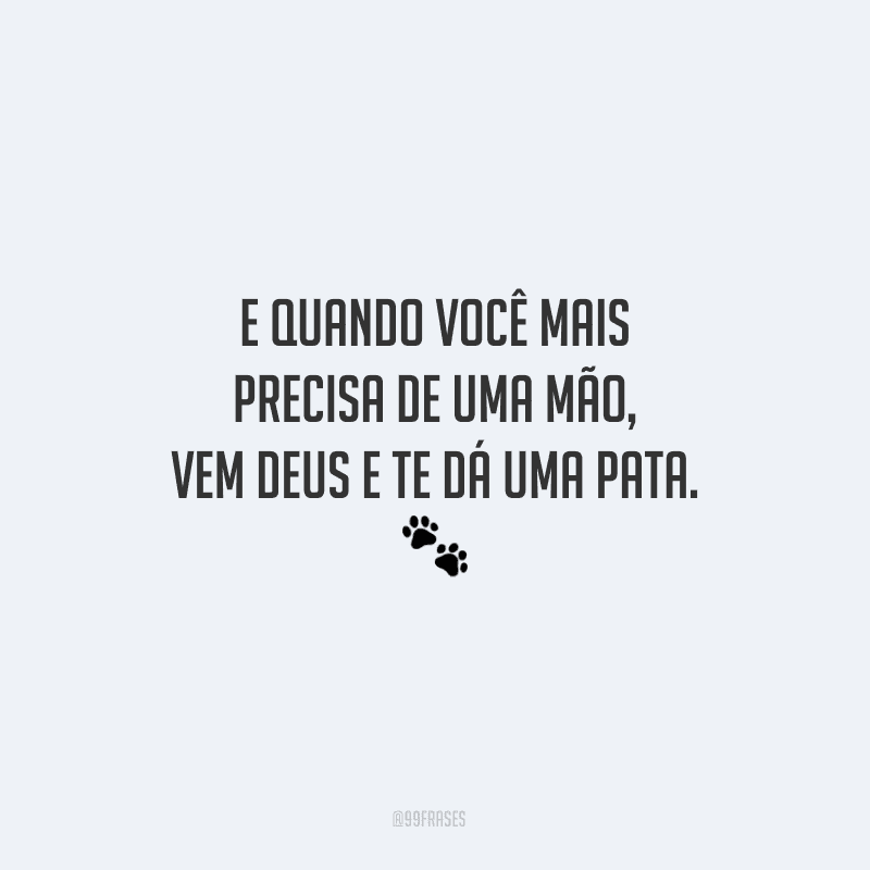 E quando você mais precisa de uma mão, vem Deus e te dá uma pata. 