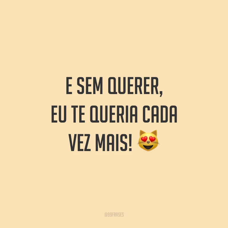 E sem querer, eu te queria cada vez mais!