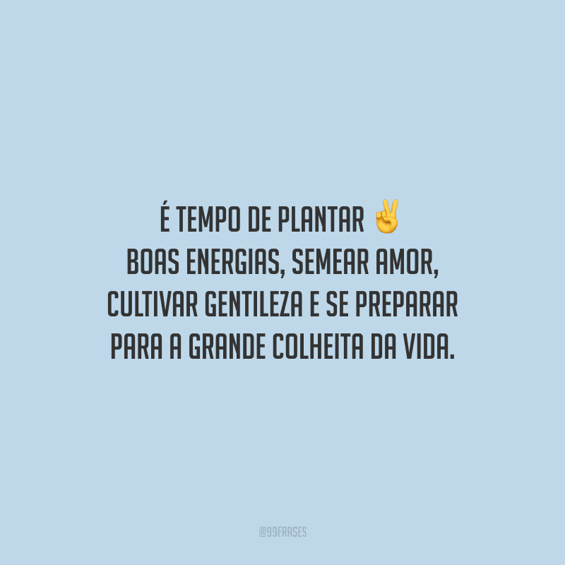 É tempo de plantar boas energias, semear amor, cultivar gentileza e se preparar para a grande colheita da vida.