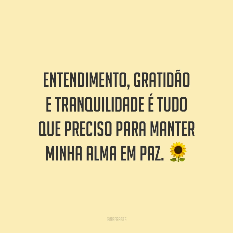 Entendimento, gratidão e tranquilidade é tudo que preciso para manter minha alma em paz.