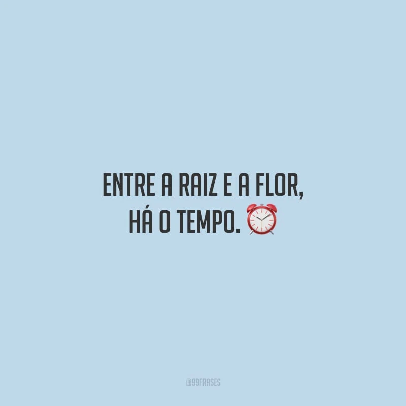 Entre a raiz e a flor, há o tempo.