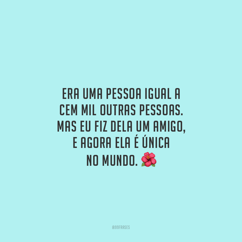 Era uma pessoa igual a cem mil outras pessoas. Mas eu fiz dela um amigo, e agora ela é única no mundo.