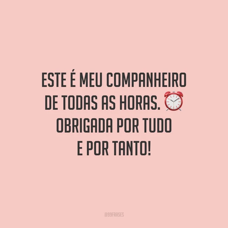 Este é meu companheiro de todas as horas. Obrigada por tudo e por tanto!